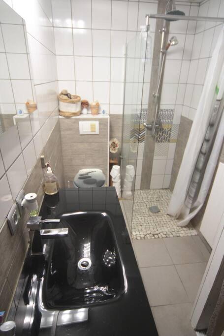 Appartement 90 M2 Vic-sur-Seille Exterior foto