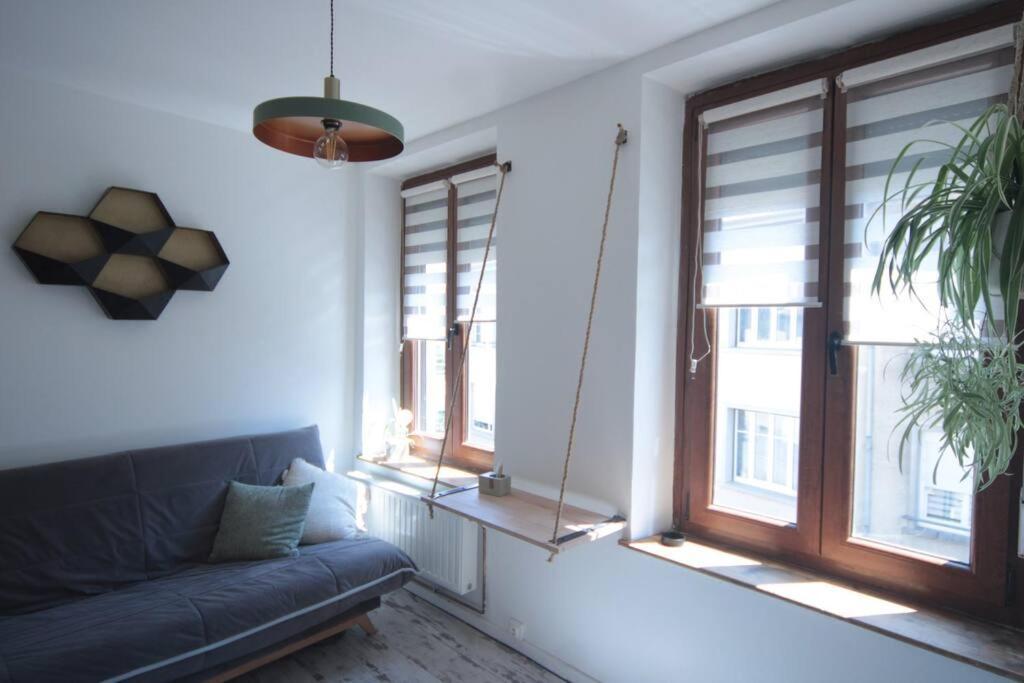 Appartement 90 M2 Vic-sur-Seille Exterior foto