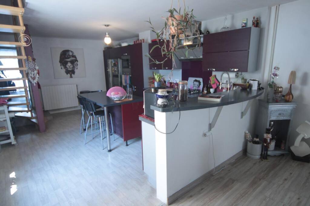 Appartement 90 M2 Vic-sur-Seille Exterior foto